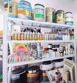 專業(yè)代理，創(chuàng)意設(shè)計(jì)——森煌寵物用品有限公司，您的最佳商業(yè)伙伴