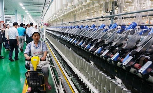 安徽省安慶市2020年9月第一周輕工紡織食品項(xiàng)目匯總與服務(wù)解析